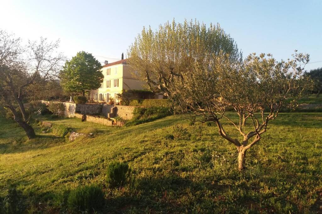 Bastide Au Milieu Des Vignes Et Des Oliviers Aups Exterior foto